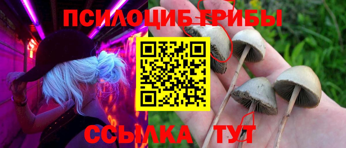 Псилоцибиновые грибы MAGIC MUSHROOMS  Вход с VPN  Галлюциногенные грибы MAGIC MUSHROOMS  Острогожск 
